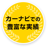 カーナビでの豊富な実績